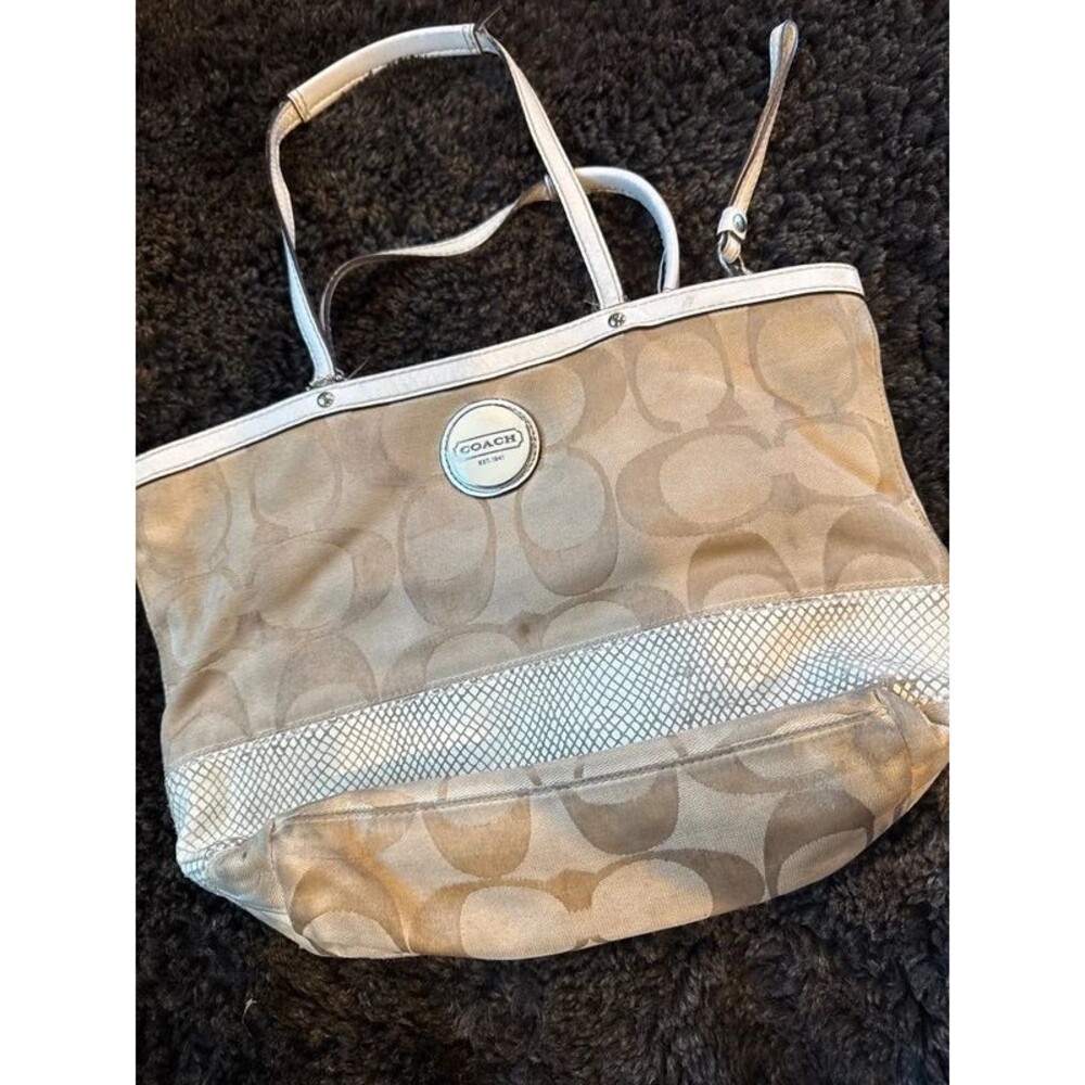 Signature coach bag with accent